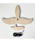 Bridget Farmer | Paint-a-Parrot Craft Kit